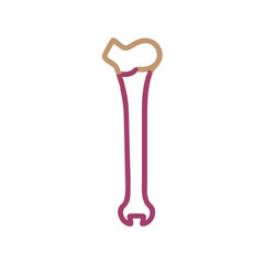  Tibia Anatomy Vector Design