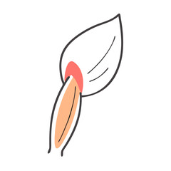  Detailed Triceps Brachii Anatomy