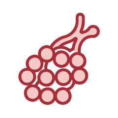  Alveoli Anatomy Illustration Icon
