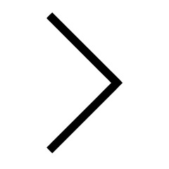 angle double right  vector flat icon