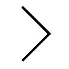 angle double right  vector flat icon