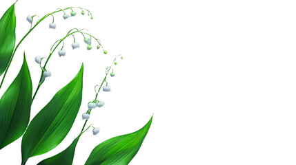 Fototapeta premium white flowers on a transparent background, PNG image, PNG file, Generative art.