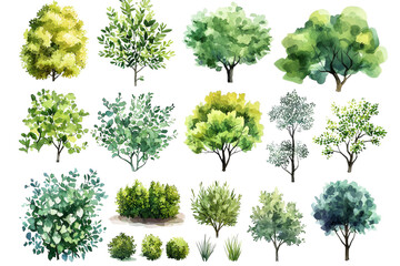 Watercolor Tree and Bush Collection 18 Top View Plants Isolated on Transparent Background, landscape design, botanical illustration, plants, trees, shrubs