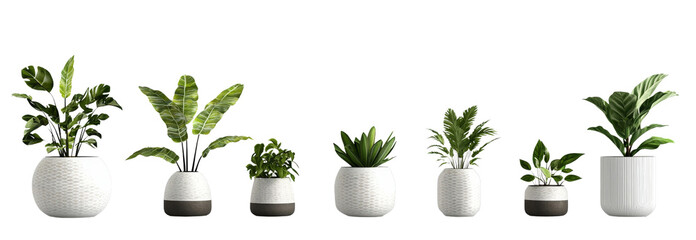 7 Potted Plants, 3D Render, Isolated on Transparent Background, Home Decor, Tropical Plants, Houseplants, Potted Plants, 3D Model