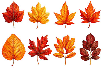 Naklejka premium Autumn Leaves Collection 8 Hand-Drawn Fall Foliage Designs, Isolated on Transparent Background, illustration, graphic, clipart, Fall, Autumn, Leaves