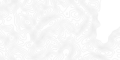 Abstract topography pattern seamless lines sea map modern design white background. Abstract digital topographic contour map concept space geometric strip grid line. Natural discovery of maps.