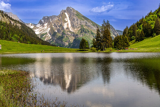 Gr&auml;ppelensee near Unterwasser in the municipality of Wildhaus-Alt St. Johann and offers this wonderful view of the Schafberg, which is part of the Alpstein massif in the canton of St. Gallen in Swiss