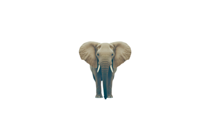 an elephant with tusks facing away from the camera on a transparent background, PNG image, PNG file, Generative art.