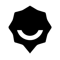 badge check  vector flat icon