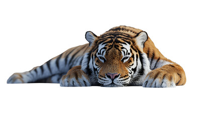Obraz premium a portrait of an animal lying down on a transparent background, PNG image, PNG file, Generative art.
