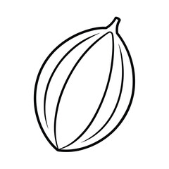 tropical almond fruit line art vector illustration
