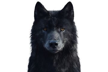 portrait of a black wolf photo on a transparent background, PNG image, PNG file, Generative art.