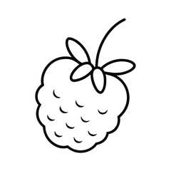 thimbleberry fruit line art vector illustration