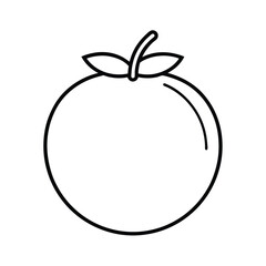 terebinth fruit line art vector illustration