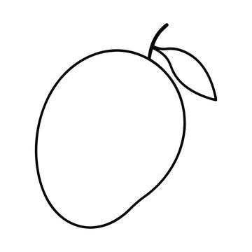 recommend clip art: thai mango fruit line art vector illustration
