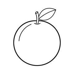 sweet orange fruit line art vector illustration