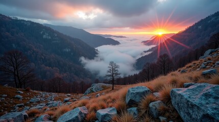 Stunning view of Cevennes National Park in France during dawn, with cool, rainy winter conditions and an aerial perspective.