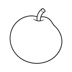 sapote fruit line art vector illustration