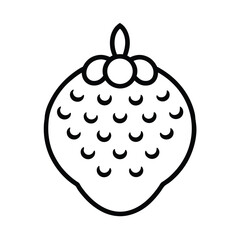 rudraksha fruit line art vector illustration