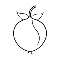 rose hip fruit line art vector illustration