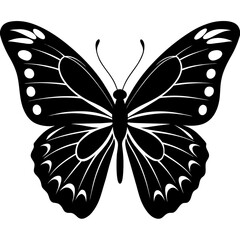 butterfly silhouette vector illustration