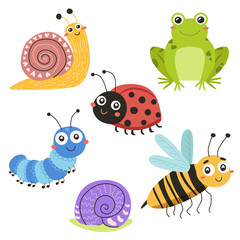Funny cartoon insects for children's book illustrations, ladybug, caterpillar, frog, snail, buzzing bee. Vector illustration