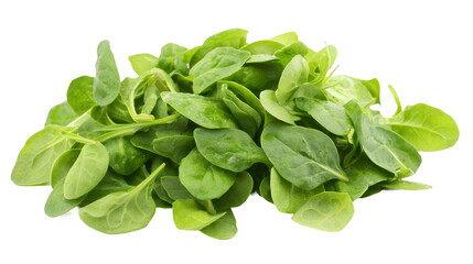 Fototapeta premium a bunch of fresh spinach against a on a transparent background, PNG image, PNG file, Generative art.