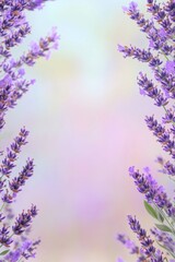 Obraz premium Elegant floral frame with purple lavender and natural countryside charm