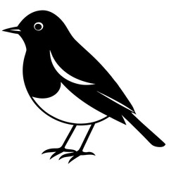 Animal Robin silhouette vector illustrator