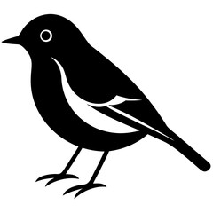 Animal Robin silhouette vector illustrator