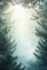 Fototapeta premium Scenic woodland frame with sunlight streaming through pine forest