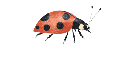 a red bug on a transparent background, PNG image, PNG file, Generative art.
