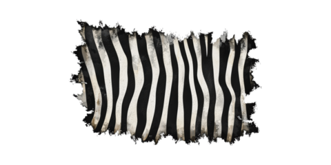 Abstract Zebra Stripes Pattern With Artistic Brush Stroke Edges Isolated On Transparent Background