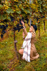 Young woman admires the vineyard's ripe grapes in Stuttgart, Germany