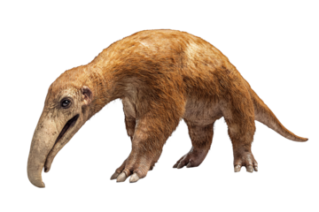 3d rendering of an animal isolated on a transparent background, PNG image, PNG file, Generative art.