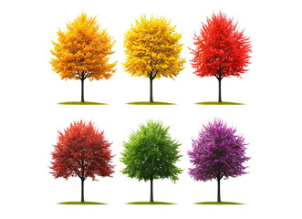 Set of colorful trees