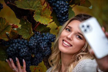Young woman taking selfies while holding a bunch of grapes in a vineyard, in Stuttgart, Germany