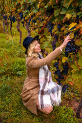 Young woman tasting grapes in an autumn vineyard in Stuttgart, Germany