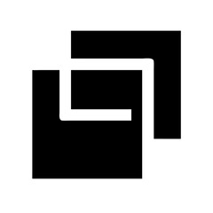 copy alt glyph  vector flat icon