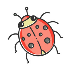 Fototapeta premium ladybug icon, ladybug vector illustration-simple illustration of ladybug, perfect for ladybug logos and icons