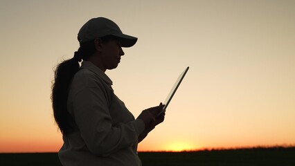 agriculture farmer working digital tablet with hand sunset field, business entrepreneur sunset farm...