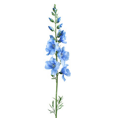 Naklejka premium a plant with blue flowers on a transparent background, PNG image, PNG file, Generative art.