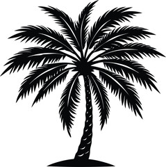 Palm Tree black and white silhouette vector 