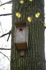 Wooden birdhouse mounted on textured tree bark offers shelter for birds. Represents concept of wildlife habitat provision or nature conservation efforts