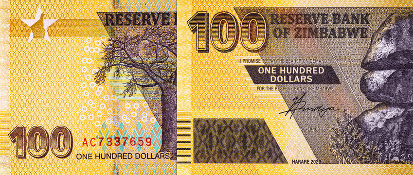 Zimbabwe 100 dollar banknote, fragment for designers. Zimbabwe paper money.