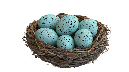 Obraz premium blue eggs in a bird nest on a transparent background, PNG image, PNG file, Generative art.