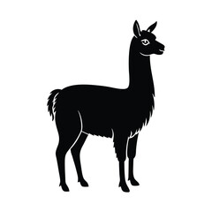 Fototapeta premium vector illustration of a llama