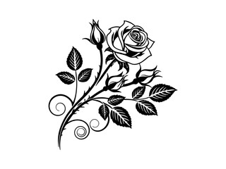 Set of decorative rose with leaves. Flower silhoutte. Vector illustration. Set of three vector black silhouettes of rose flowers isolated on a white background.
