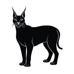 Caracal animal silhouette.