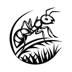 Ant Black and White Silhouette of an Insect on Grass, Isolated Design